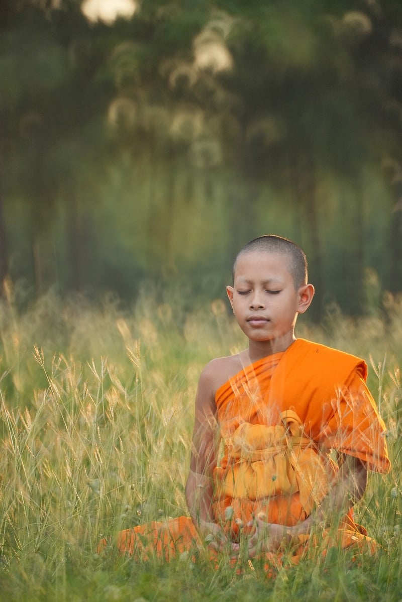 Meditation in nature